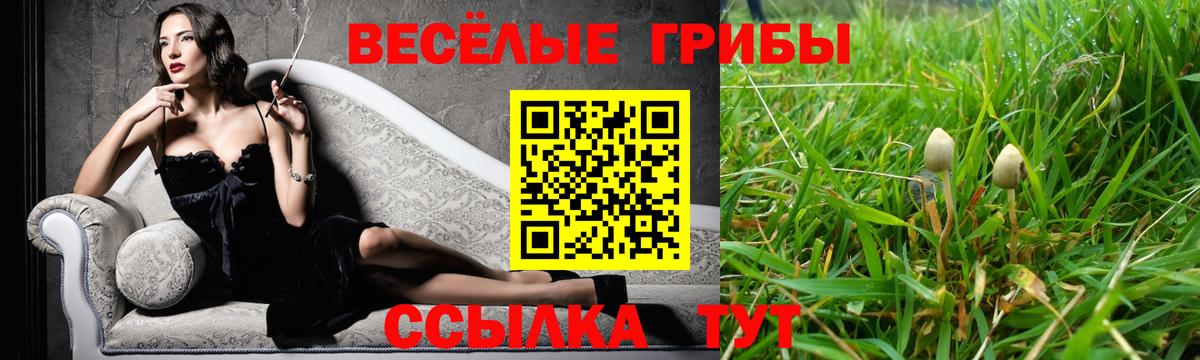 Коммунар  Галлюциногенные грибы GOLDEN TEACHER  Вход с VPN 